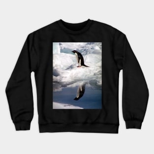 Adelie Penguin in a Reflective Mood Crewneck Sweatshirt